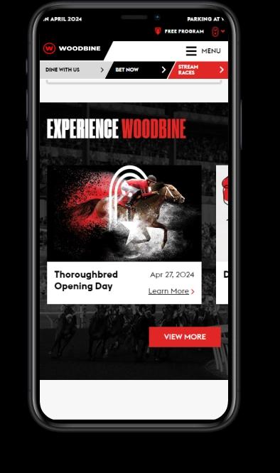 Woodbine Casino Mobile